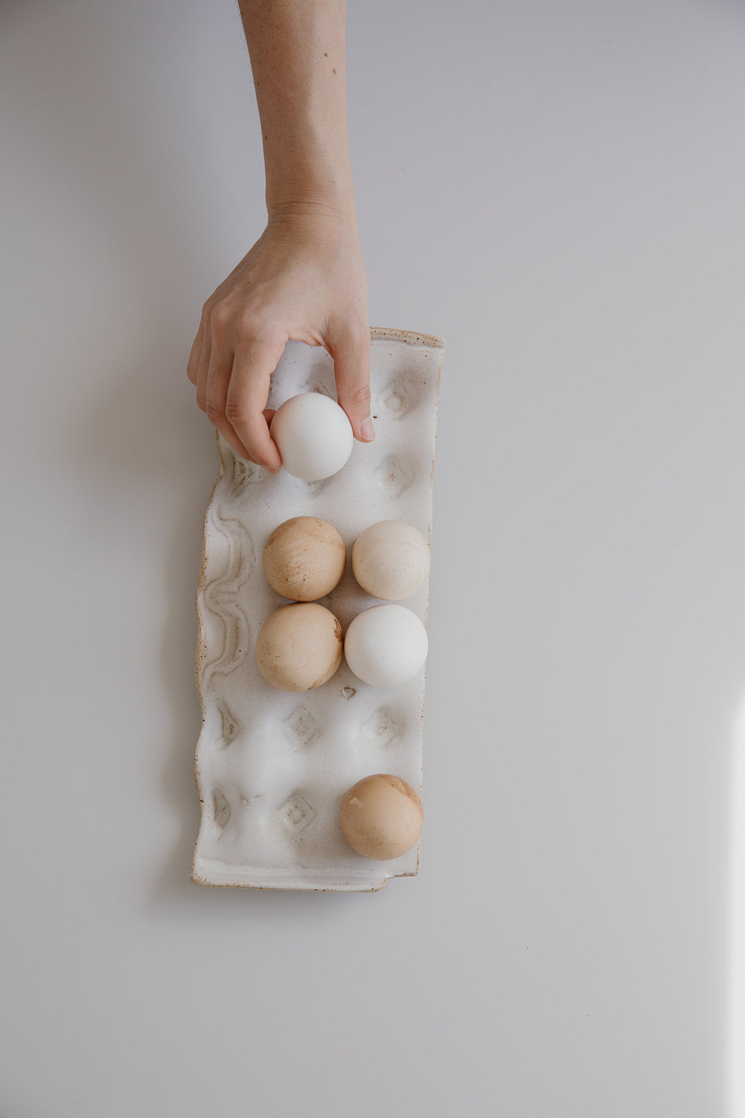 Egg Tray